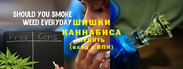 соль ск Бородино