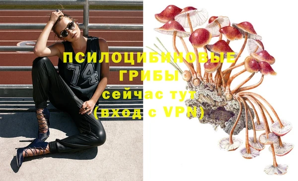 соль ск Бородино