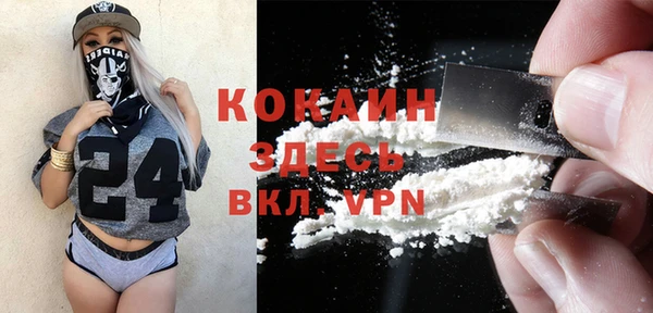 дживик Верея